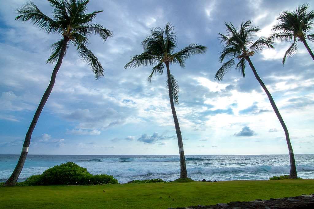 فندق Kona Reef كايلو كونا الغرفة الصورة
